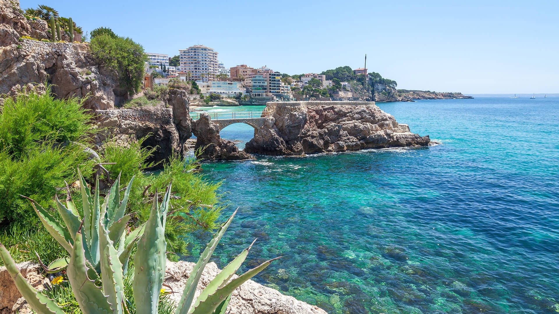 Apartamento Palma (5)